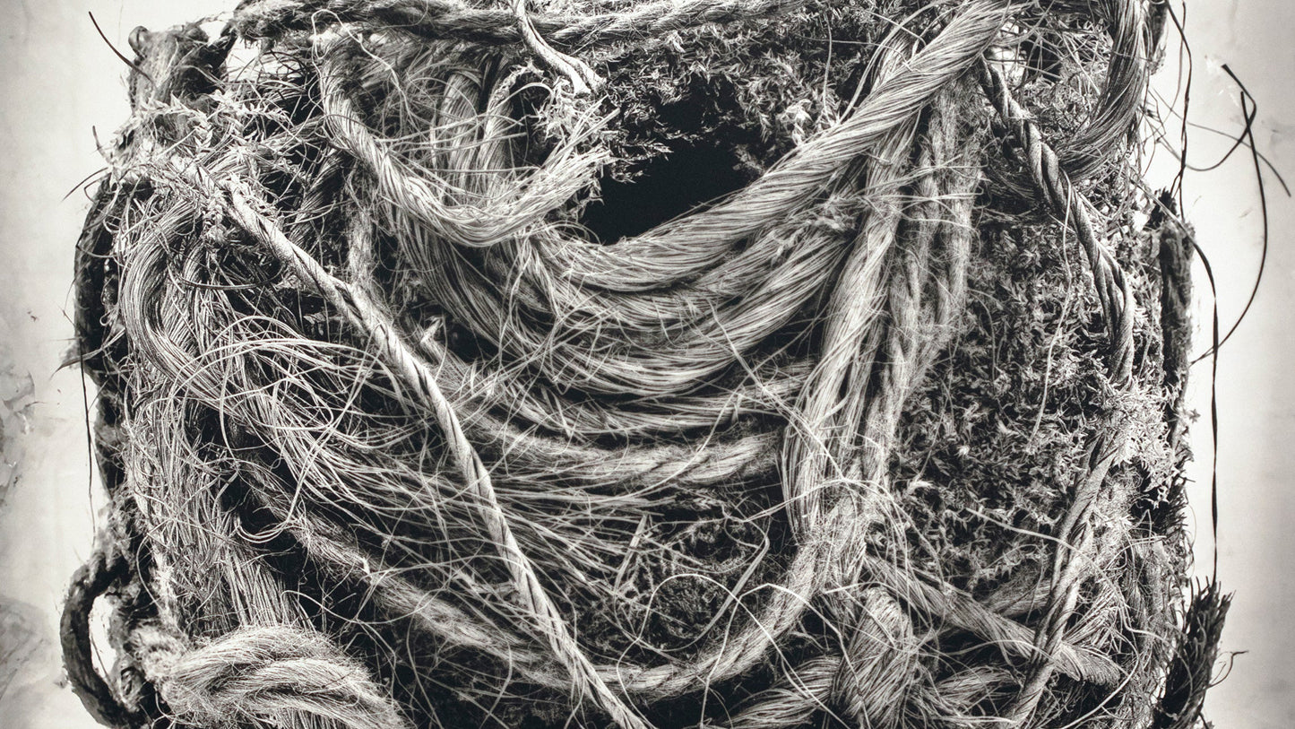 Christine Fitzgerald's Requiem opens at Karsh-Masson Gallery