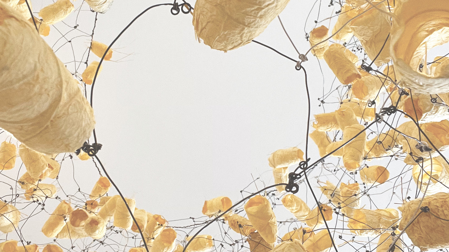 Value and Obligation | Judy Nakagawa