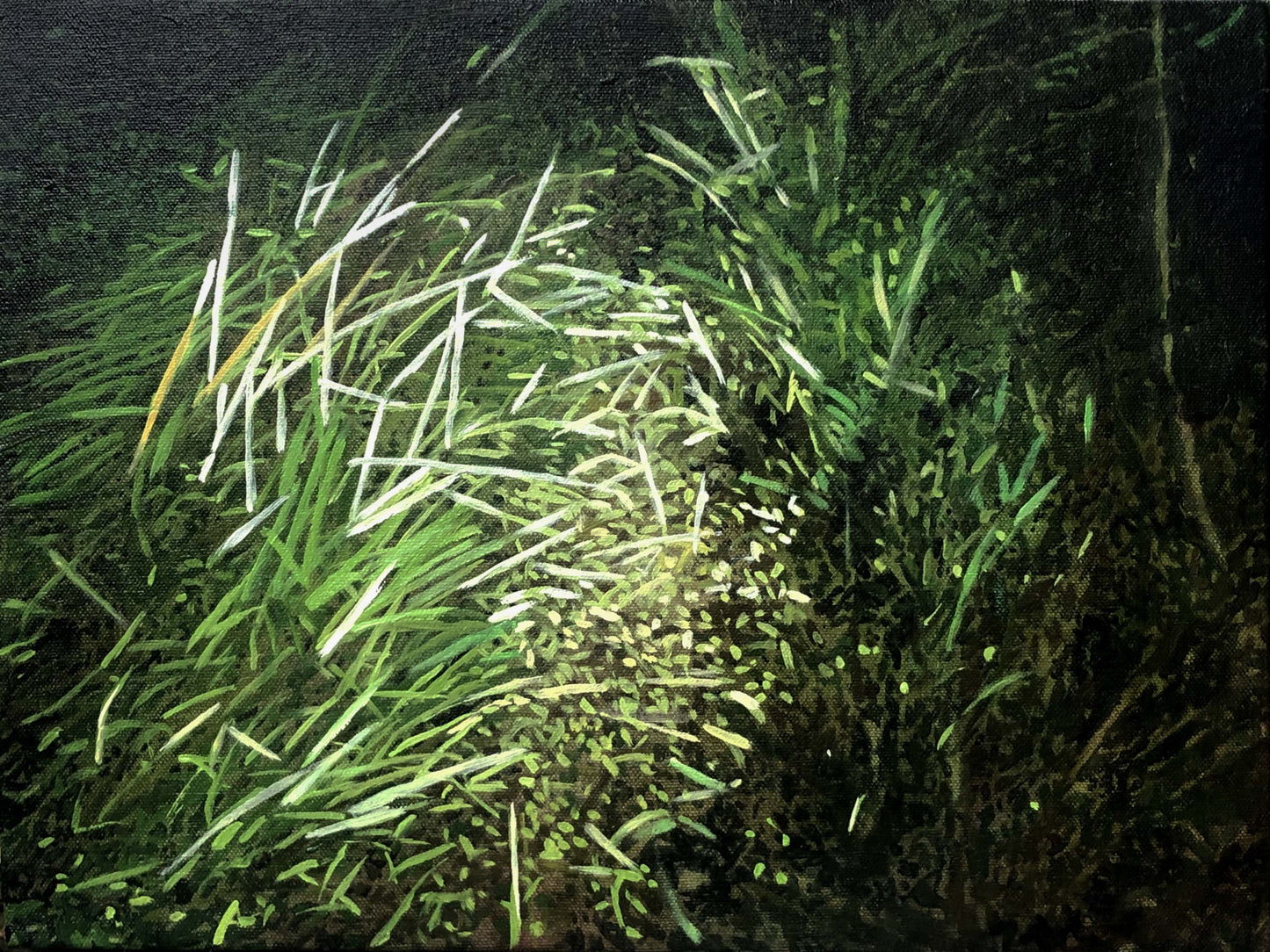 The circle of light at my feet 1