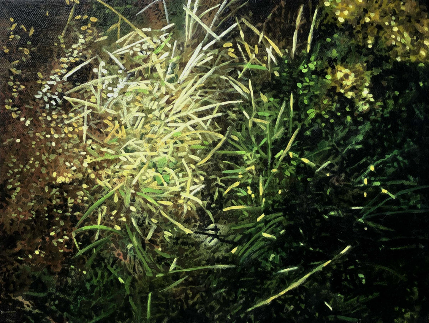 The circle of light at my feet 2