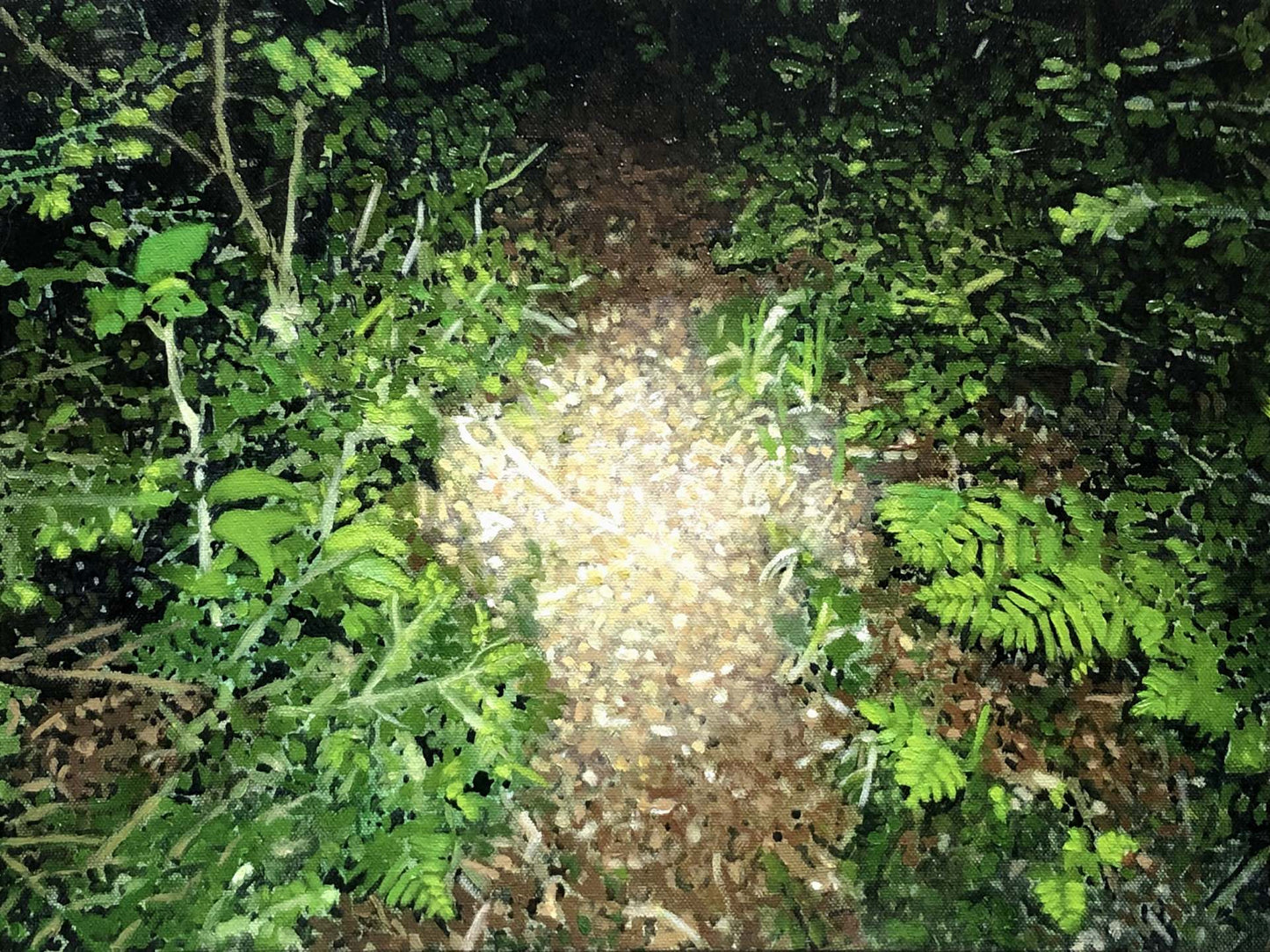 The circle of light at my feet 3