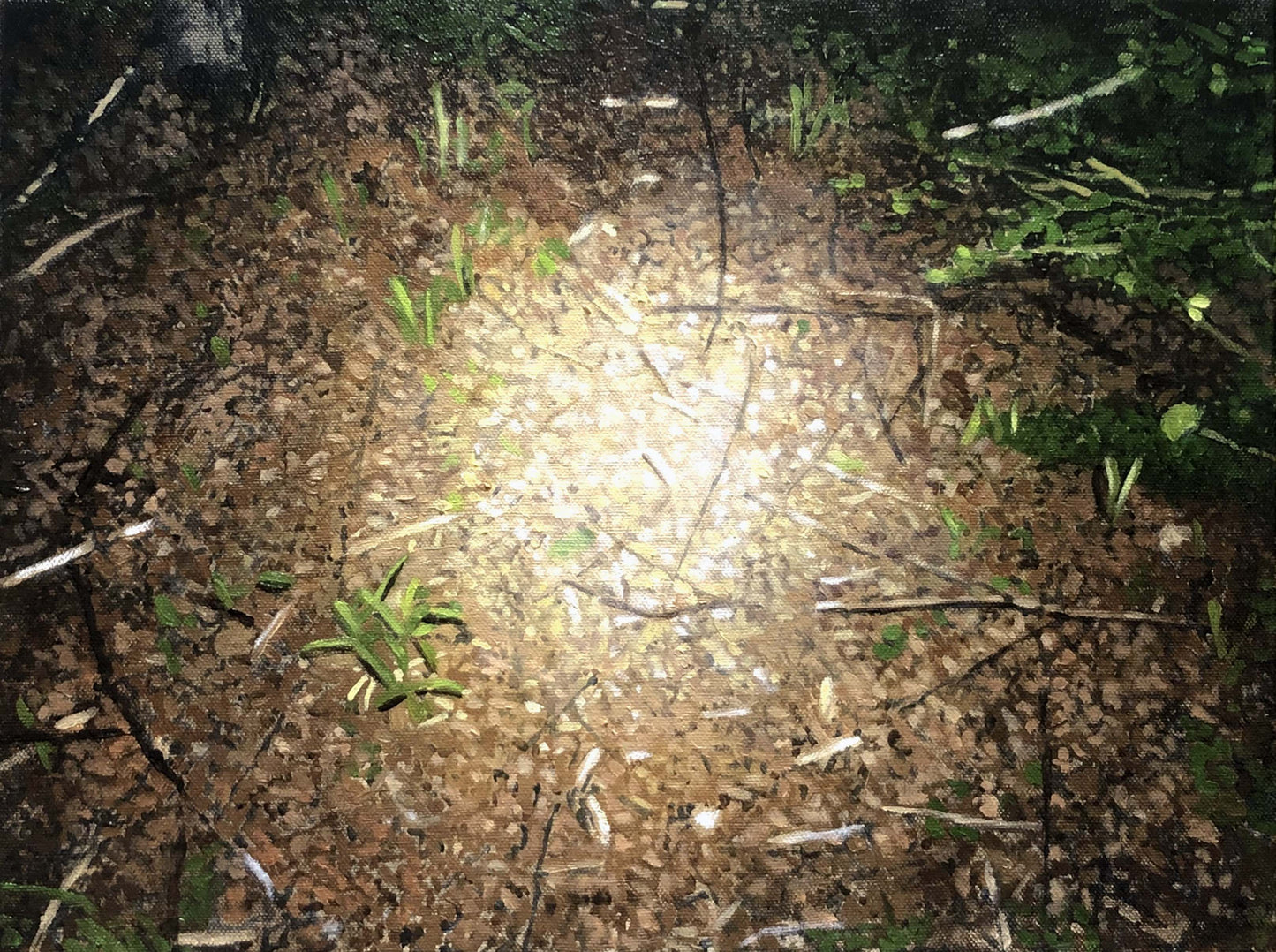 The circle of light at my feet 4