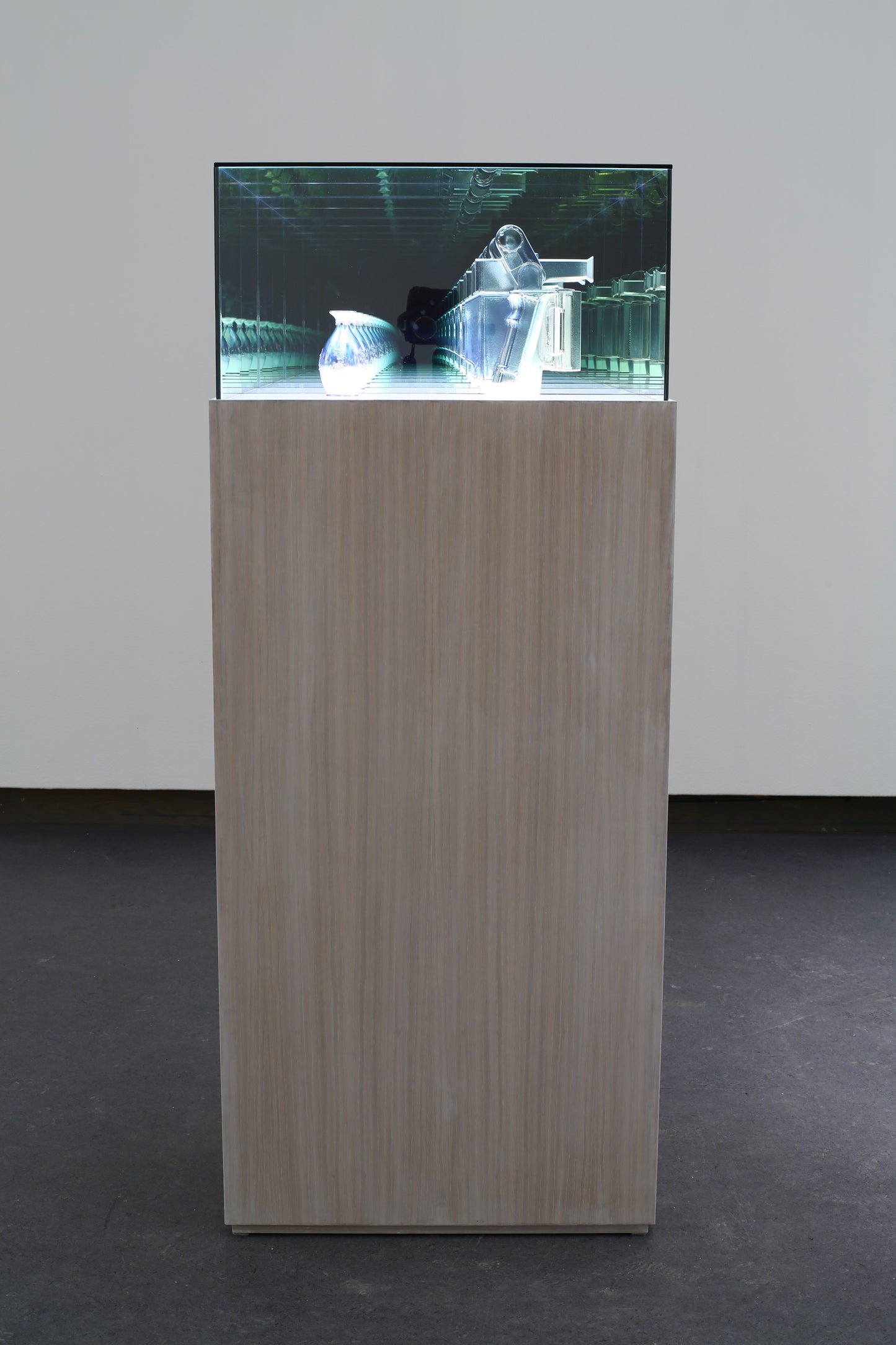 Disused Portrait Camera Considers Wedgwood Vase