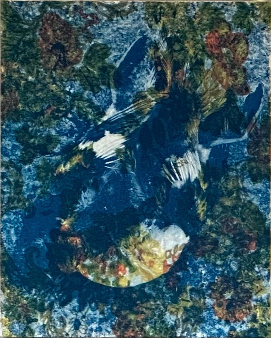 Unmarked Grave I (Roadkill Goose)