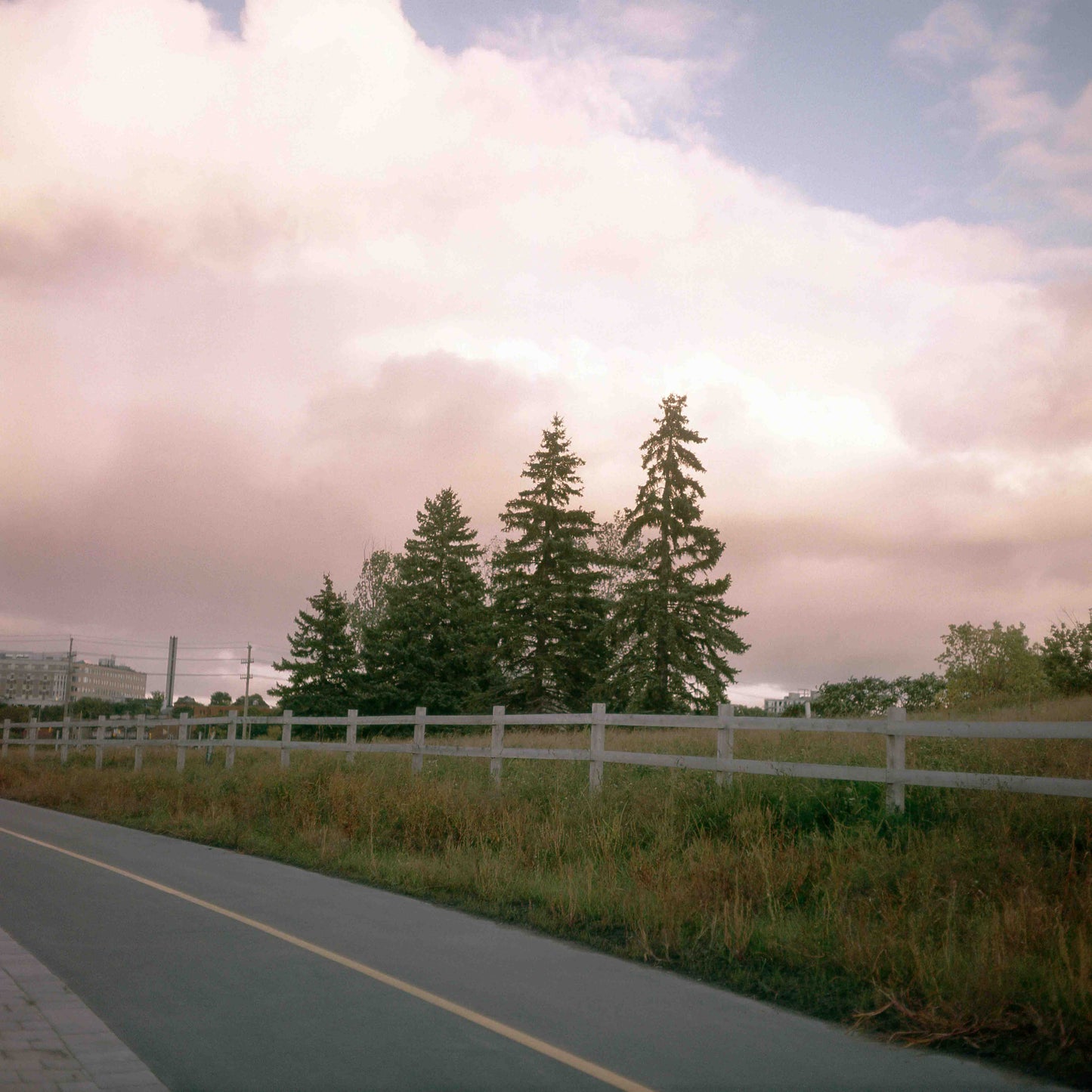 Craving clarity and sugar