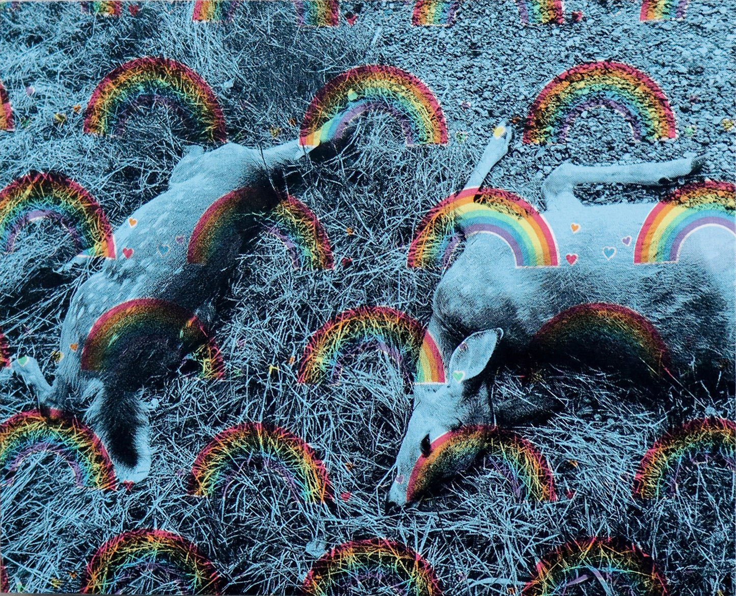 Remains Located, Relationship Unknown