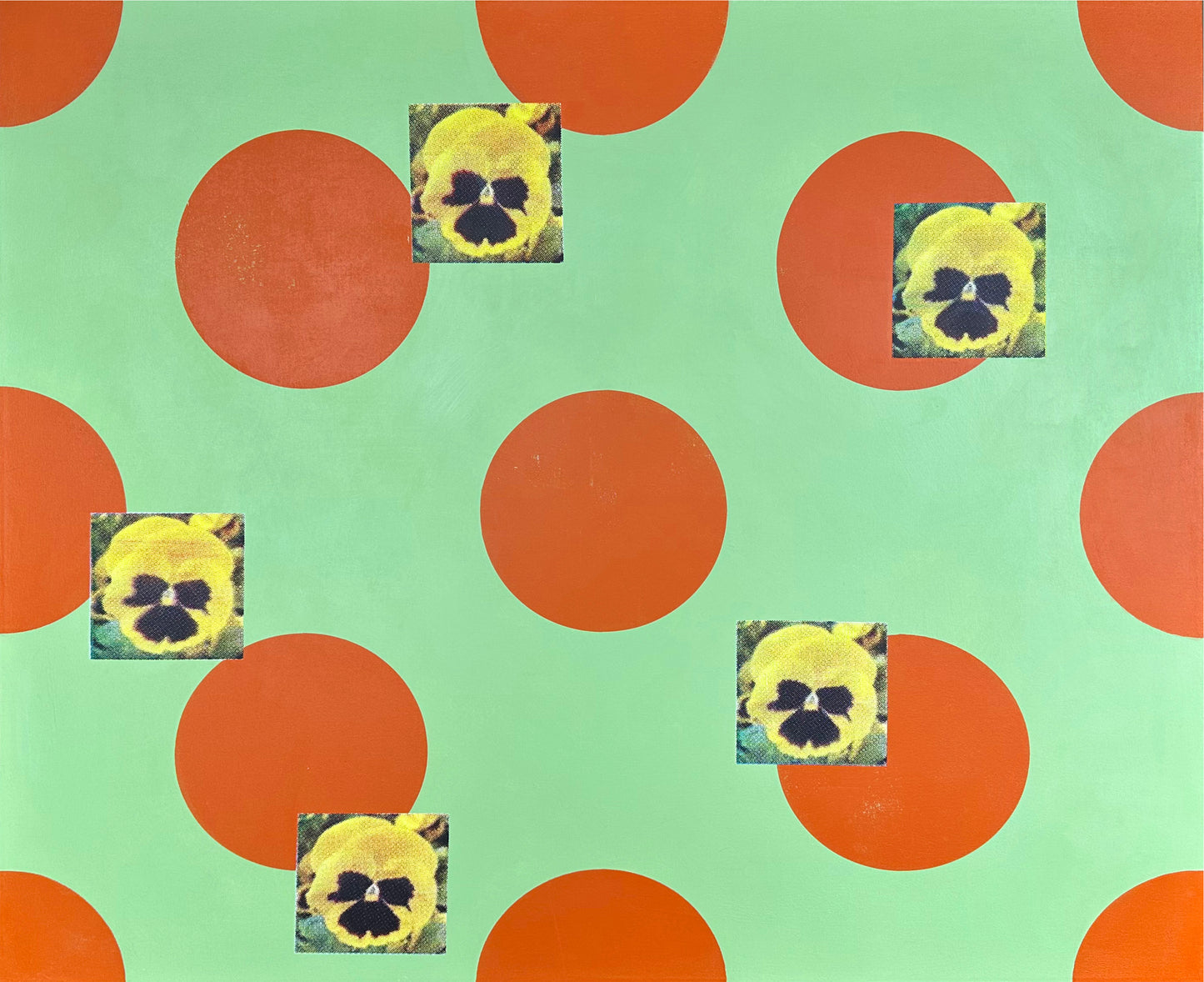 Spotted with Pansies XL