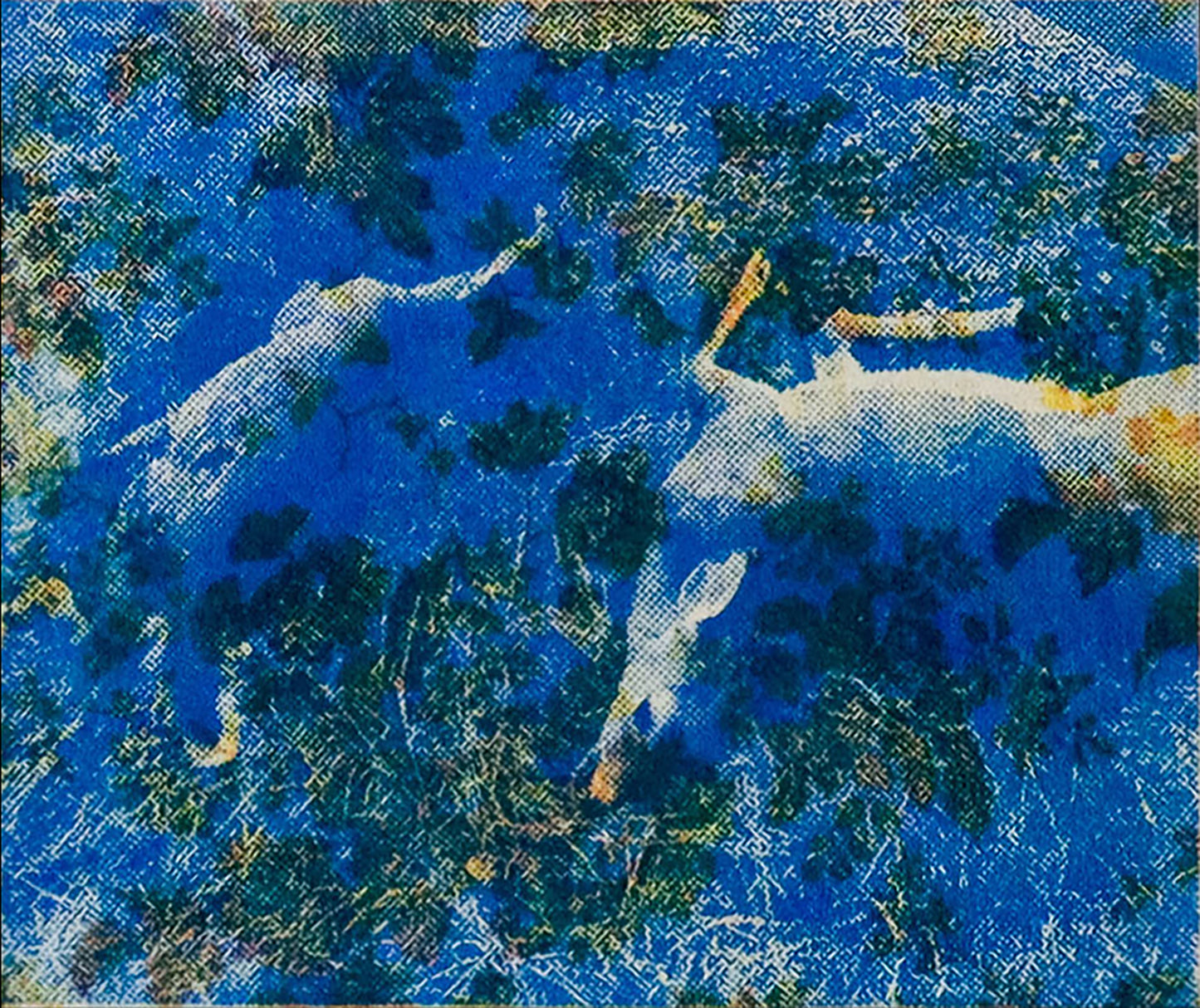 Untitled (Roadkill Deer on Yellow Floral) II
