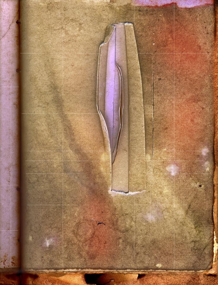 drone flight intercepted