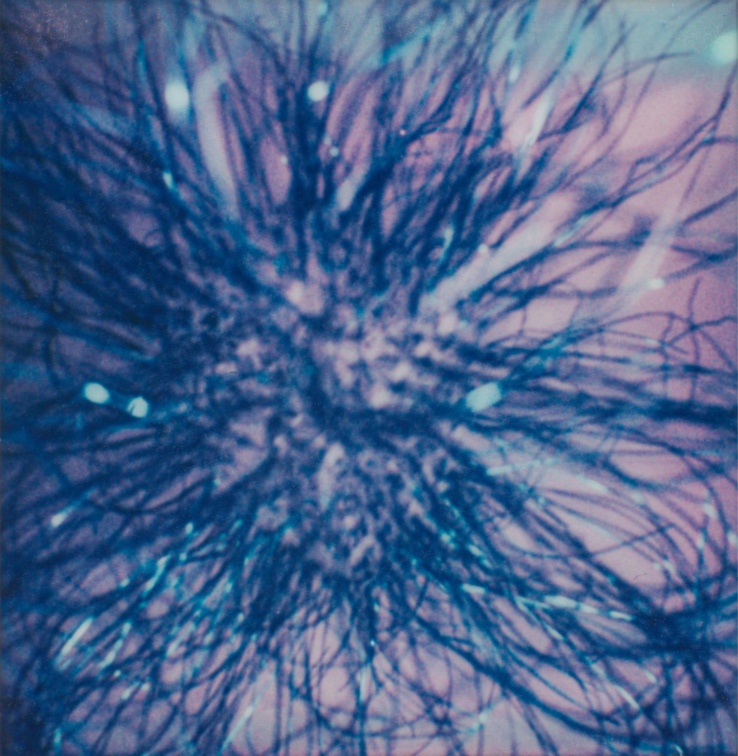 Part of Something Bigger