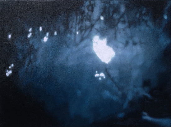 Lights in the forest (still from Tarkovsky's Andrei Rublev) 4