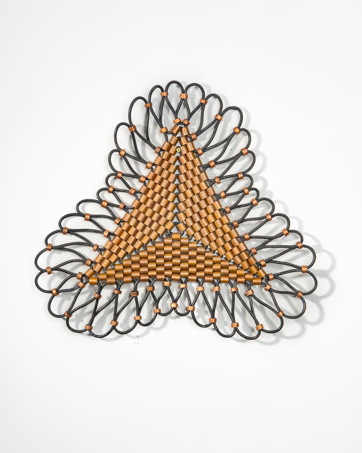 Diatom