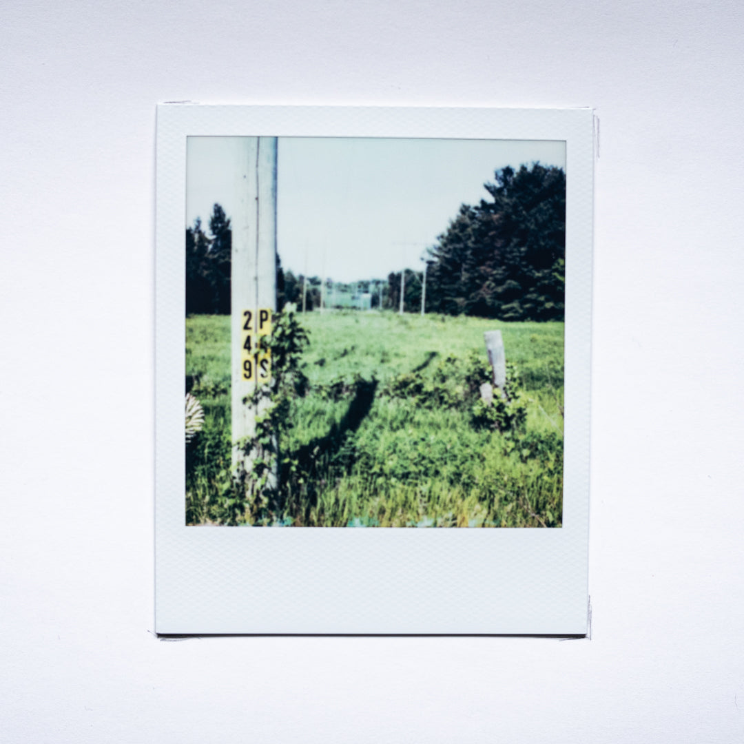 Rhetorical Summer no.10