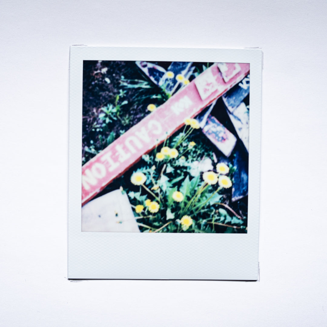 Rhetorical Summer no.11