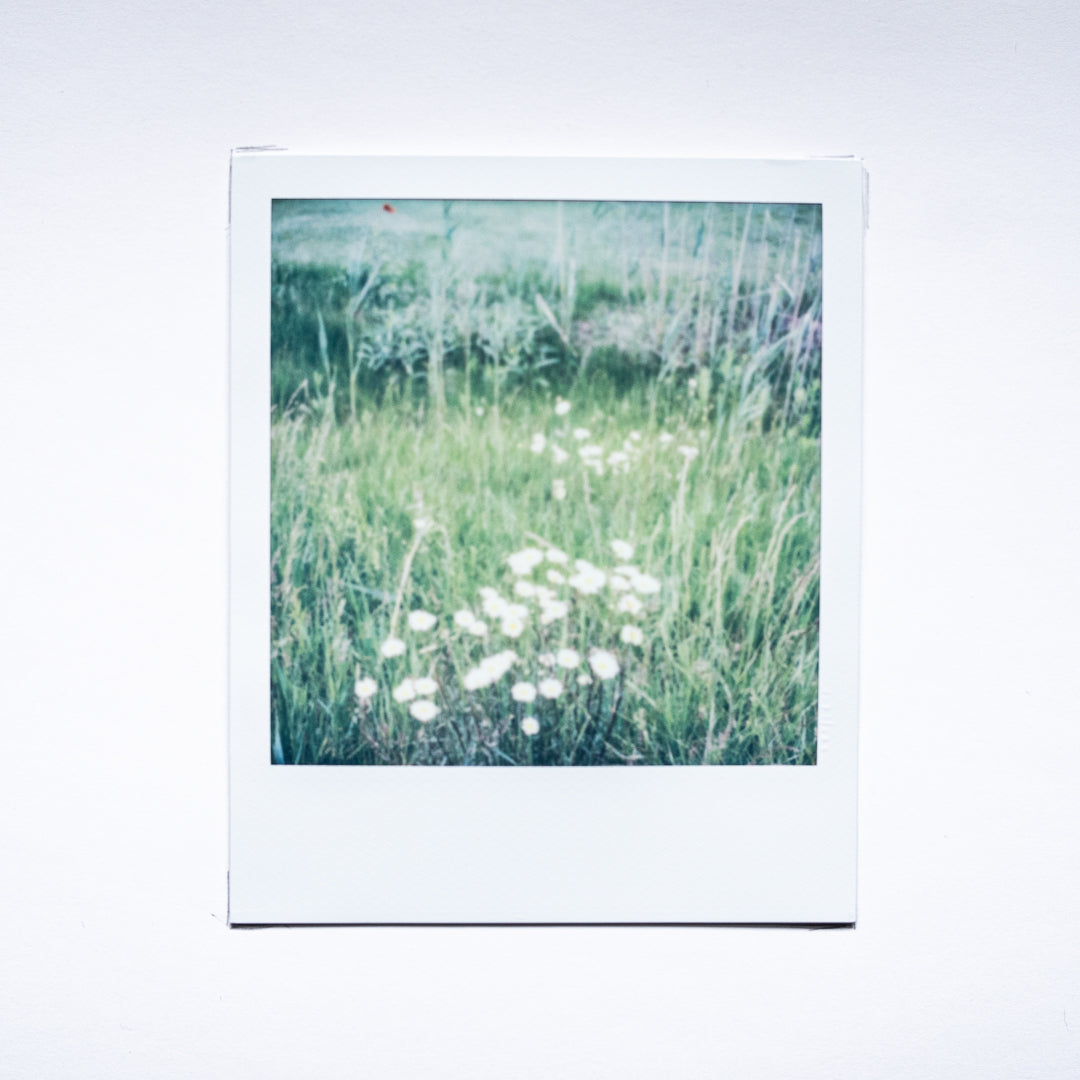 Rhetorical Summer no.12