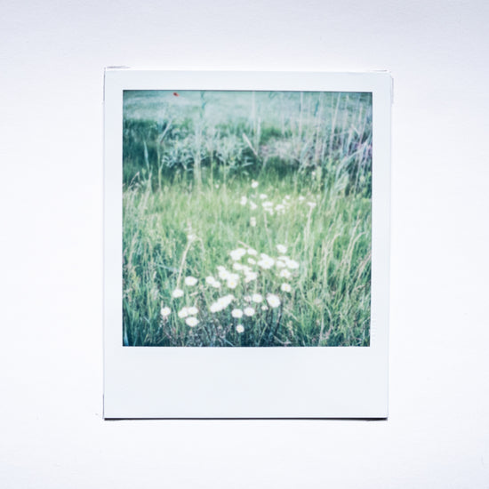 Rhetorical Summer no.12