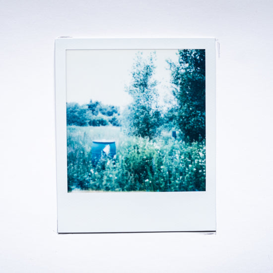 Rhetorical Summer no.14