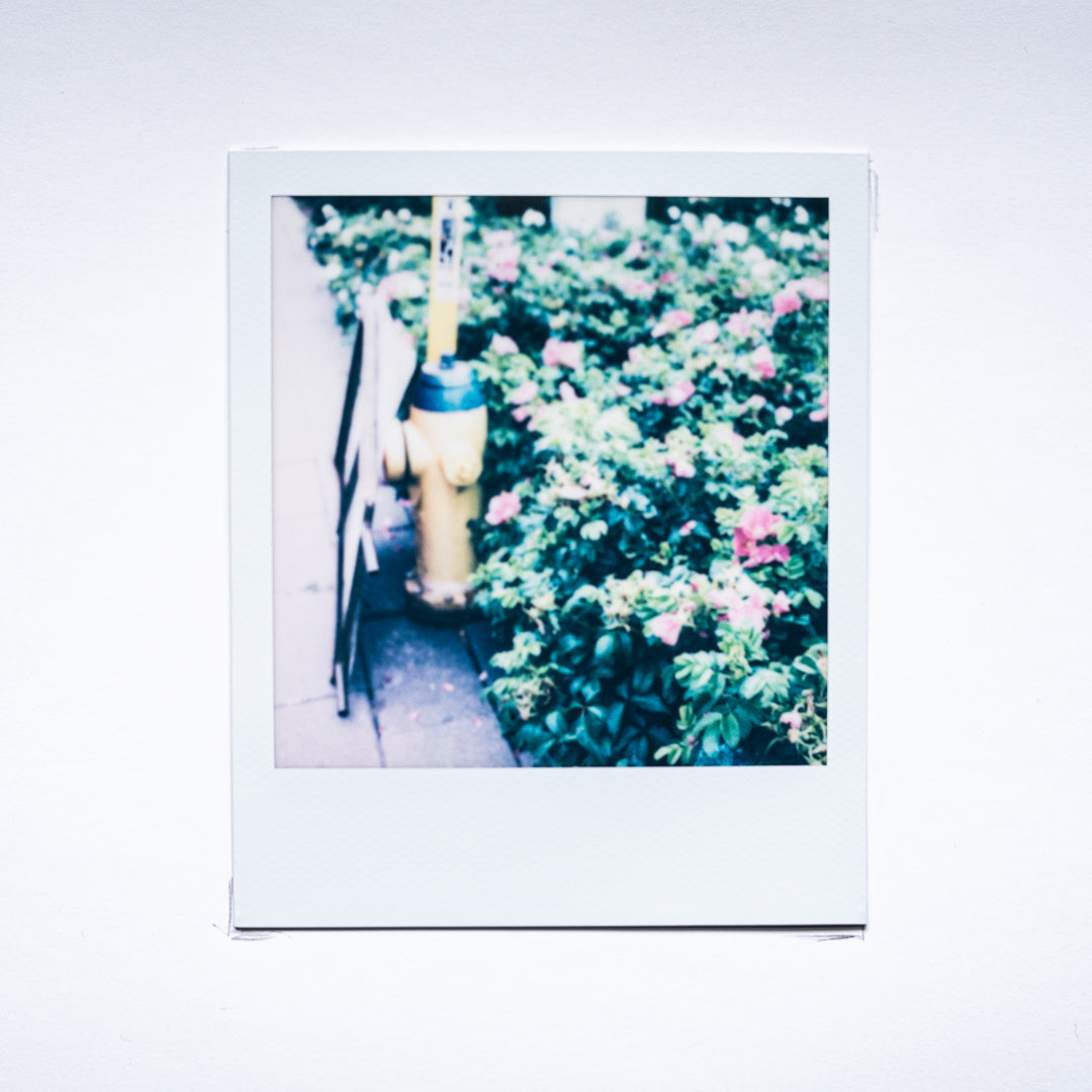 Rhetorical Summer no.16
