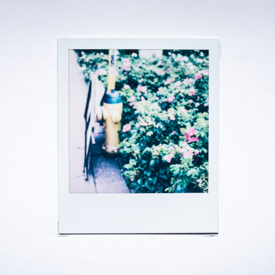 Rhetorical Summer no.16