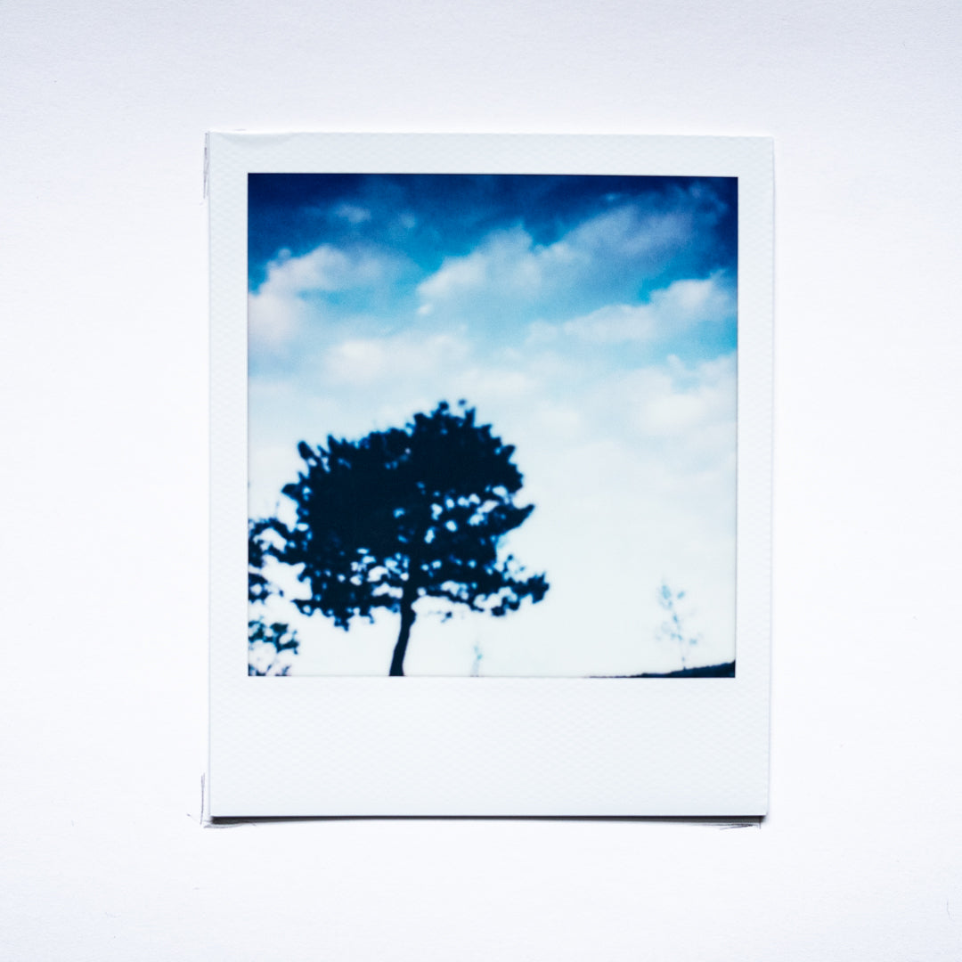 Rhetorical Summer no.19