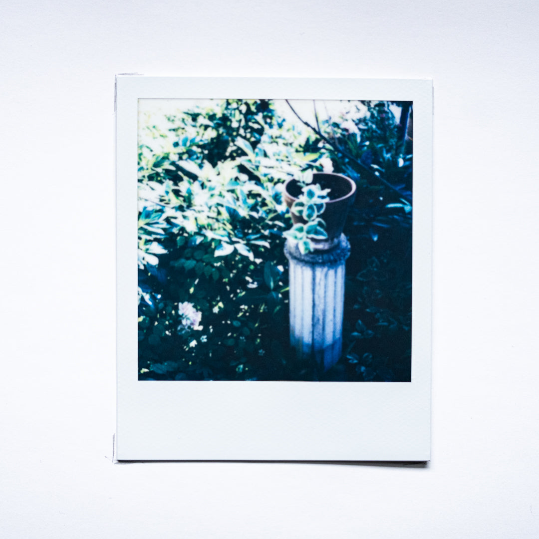 Rhetorical Summer no.23