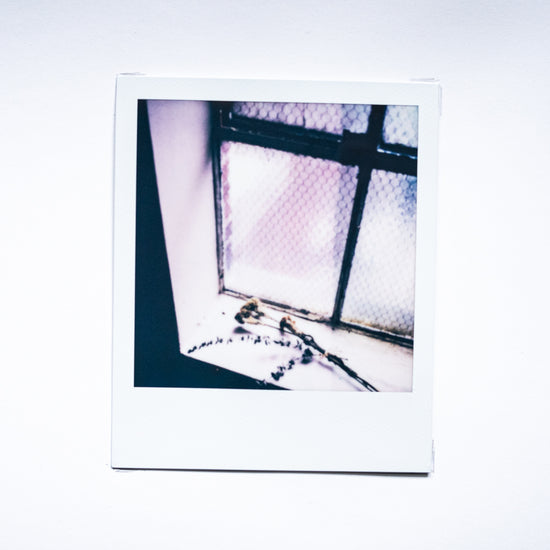 Rhetorical Summer no.31