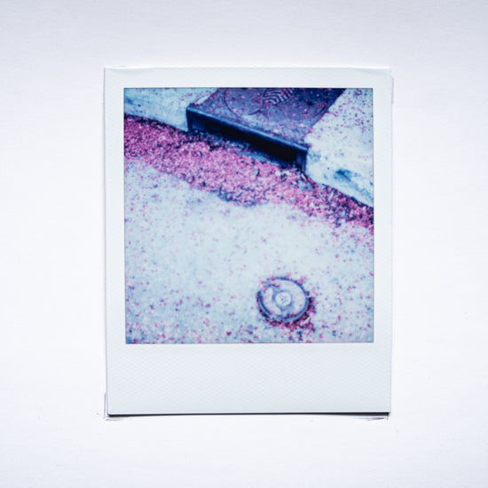 Rhetorical Summer no.5