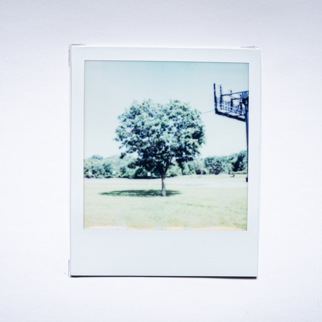 Rhetorical Summer no.9