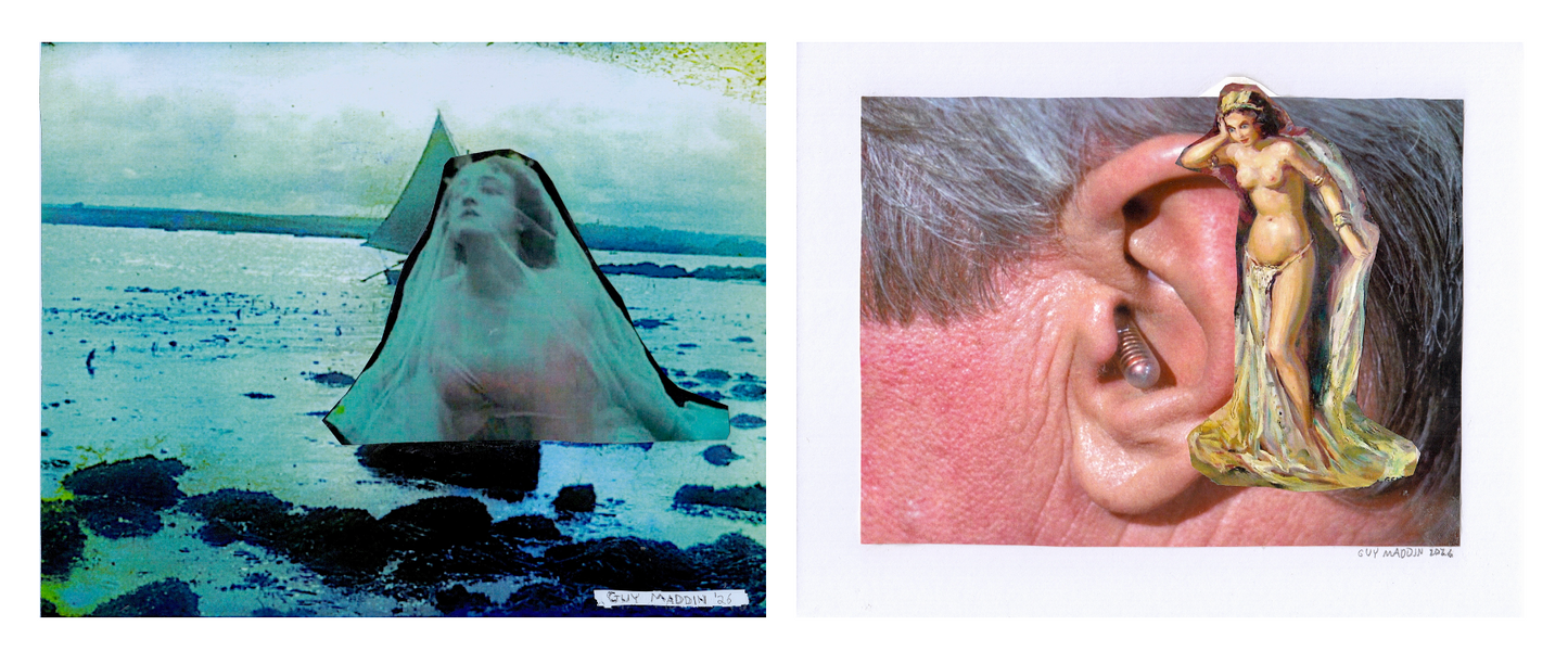 A memory is born 1 (diptych)