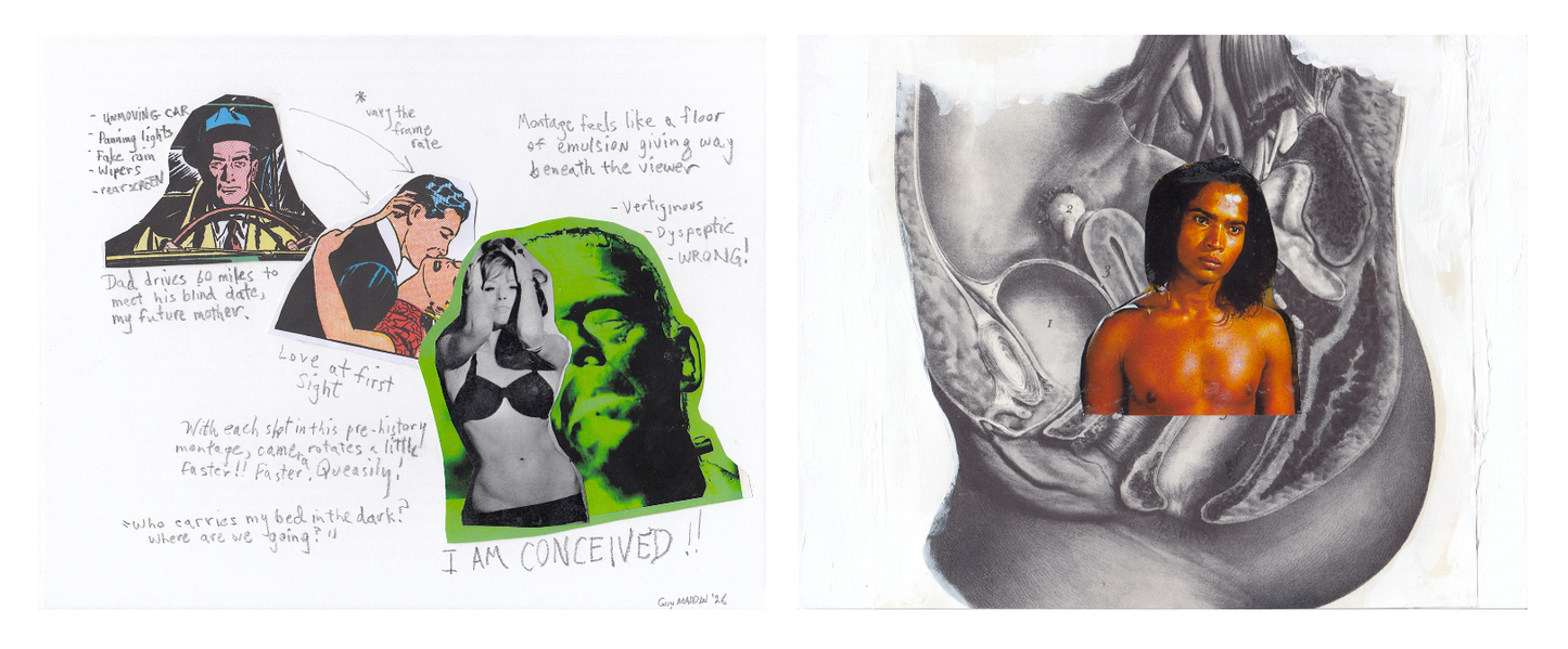 A memory is born 2 (diptych)