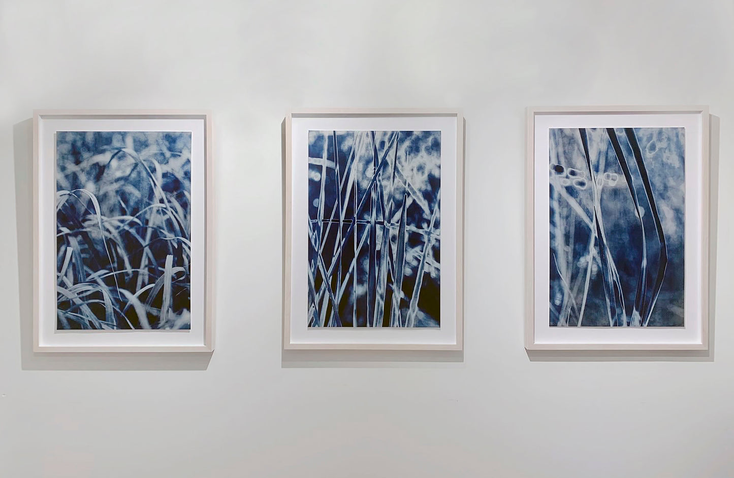 Triptych of Grasses
