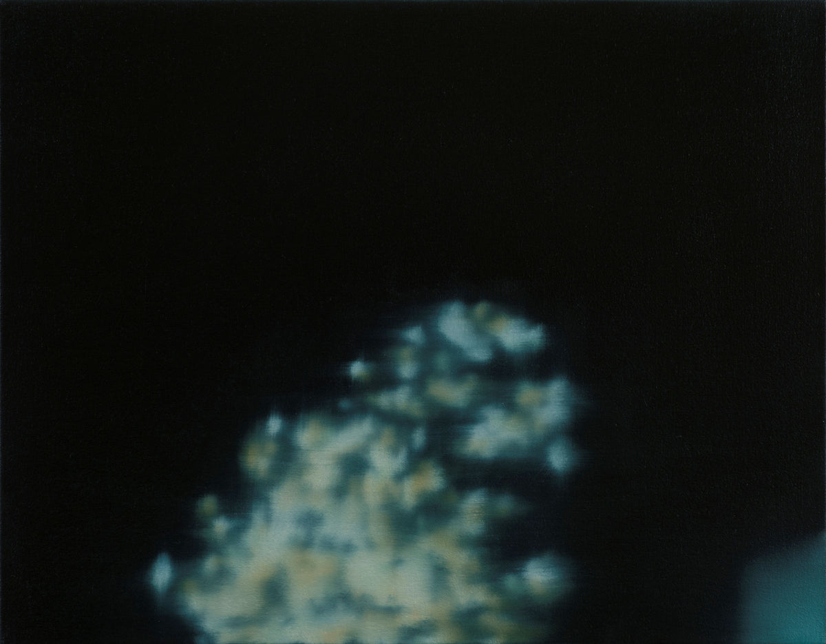 David Gillanders Work David Gillanders, abstract painter, colourist – de Montigny Contemporary